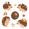 Set of cute autumn hedgehogs isolated on a white background. Vector graphics