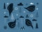 Set of cute birds with different patterns, trees, snowflakes, clouds, snow. Set of birds with patterns for printing, posters or