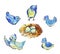 Set of cute blue birds around the nest with eggs