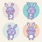 Set of cute bunny rabbit character