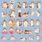Set of Cute Calico Cat Character