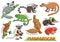 Set of Cute cartoon Animals and in the Madagascar areas