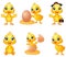 Set of cute cartoon baby chick