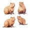 Set of Cute cartoon capybaras in flat style on white