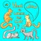 Set with  cute cartoon  cats.  Funny doodle kitten collection. Vector colorful doodle image. Playful animal print.