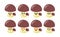 Set of cute cartoon colorful brown mushroom with different emotions. Funny emotions character collection for kids