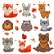 Set of cute cartoon forest animals.