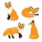 Set of cute cartoon foxes