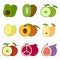Set of cute cartoon fruit icons, includes apples, pears, figs, kiwi, avocado and others. An image of whole and cut fruit