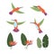 Set of cute cartoon hummingbirds and strelitzia. Vector collection of tropical birds and plants