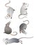 Set of cute cartoon linear decorative rats. Five decorative rats for New Year cards 2020 - vector set. Little mouse.