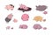 Set with cute cartoon pigs. Farm animals. Pig in different poses