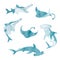 Set of cute cartoon sea animals. Vector watercolor illustration of shark, skate, sawfish