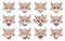 Set of cute cat with different emotions. Character cartoon kitten face. Avatar emoticon illustration. Cat emoji in cartoon style.