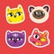 Set of cute cat vector icon color different isolated versions kittys stickers on red background Purple pussycats puts