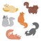 Set of cute cats playing around vector flat illustration