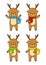 Set of cute Christmas deers