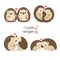 Set of Cute couple Hedgehog fall in love. Hand drawn cartoon animal character