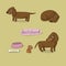 Set of cute dachshund illustration in different poses.