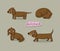 Set of cute dachshund illustration in different poses.