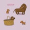 Set of cute dachshund illustration in different poses.