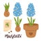 set of cute doodle muscari hyacinth flowers
