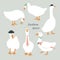 Set of cute dressed geese. Goose in a hat, tie, scarf, and with umbrella. Funny vector illustration