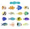 Set of cute exotic fishes on white background.