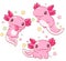 Set of cute fat axolotl in kawaii style. Collection of lovely axolotl baby in different poses. Can be used for t-shirt print,