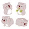 Set of cute fat cartoon koalas in kawaii style. Collection of lovely koala baby in different poses. Funny koalas - eating