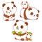 Set of cute fat panda kawaii style. Collection of lovely mom and baby pandas in different poses. Can be used for t-shirt print,