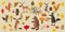 Set of cute forest animals bear, raccoon, squirrel, hare, fox, wolf, hedgehog, moose, deer, autumn leaves trees, trend