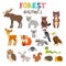 Set of cute forest animals in vector. Woodland. Cartoon style