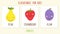 Set of cute fruits kids education illustration