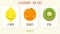 Set of cute fruits kids education illustration