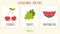 Set of cute fruits kids education illustration