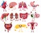 Set of cute and funny healthy human organ characters. Collection of cartoon human organs. Vector illustration for kids.