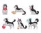Set of cute and funny Siberian husky in different situations, flat vector illustration isolated on white background.
