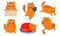 Set of the cute ginger cat with different emotions in various action situations. Vector illustration in a flat cartoon