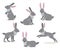Set of cute gray hare in different pose on white background
