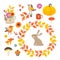 Set of cute hand-drawn autumn elements. Birds and rabbit animal. Flowers, mushrooms, pumpkin and leaves collection. Fall