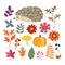 Set of cute hand-drawn autumn elements. Hedgehog, pumpkin and various flowers, berries and leaves collection. Fall