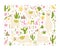 Set with cute lama, plants, cacti. Llamas for decorating children\\\'s prints, rooms, clothes, postcards, albums.