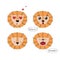 Set of cute lions face.
