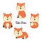 Set of Cute little foxes in cartoon style.