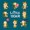 Set of cute little tiger characters with gift box, air balloon, celebrate, jump, stand, smile isolated.