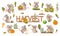 A set of cute mice harvest vegetables and cereals. Harvest cabbage, potatoes, carrots, beets, pumpkins, corn and wheat.