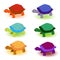 Set of cute multicolored turtles isolated on white background