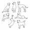 Set of cute outline breed dogs. Line style