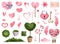 Set of cute pink valentine`s day elements. Spring elements with green plants and pink delicate hearts. Great for stickers, design